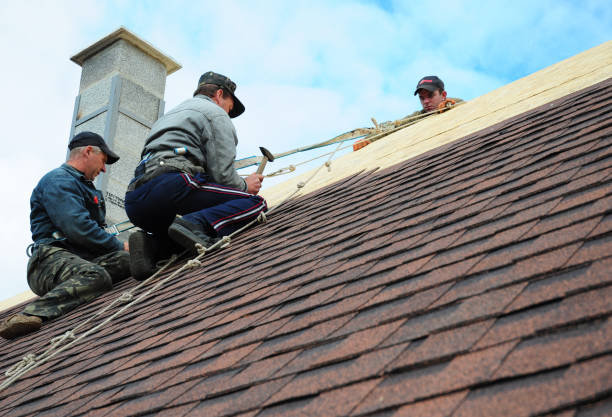 Best Flat Roof Repair Services  in Mars Hill, NC